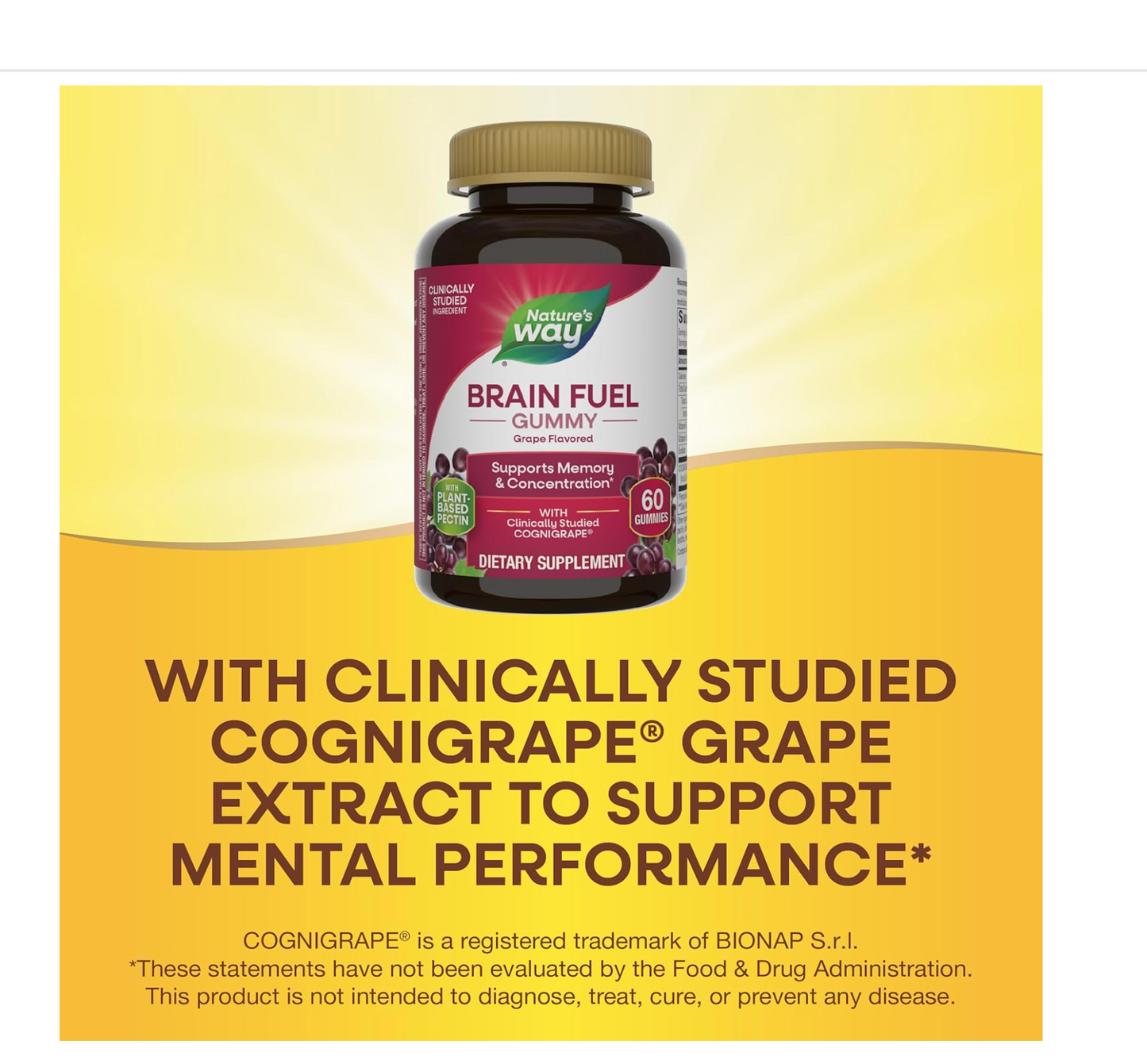 Nature's Way: Memory Gummies