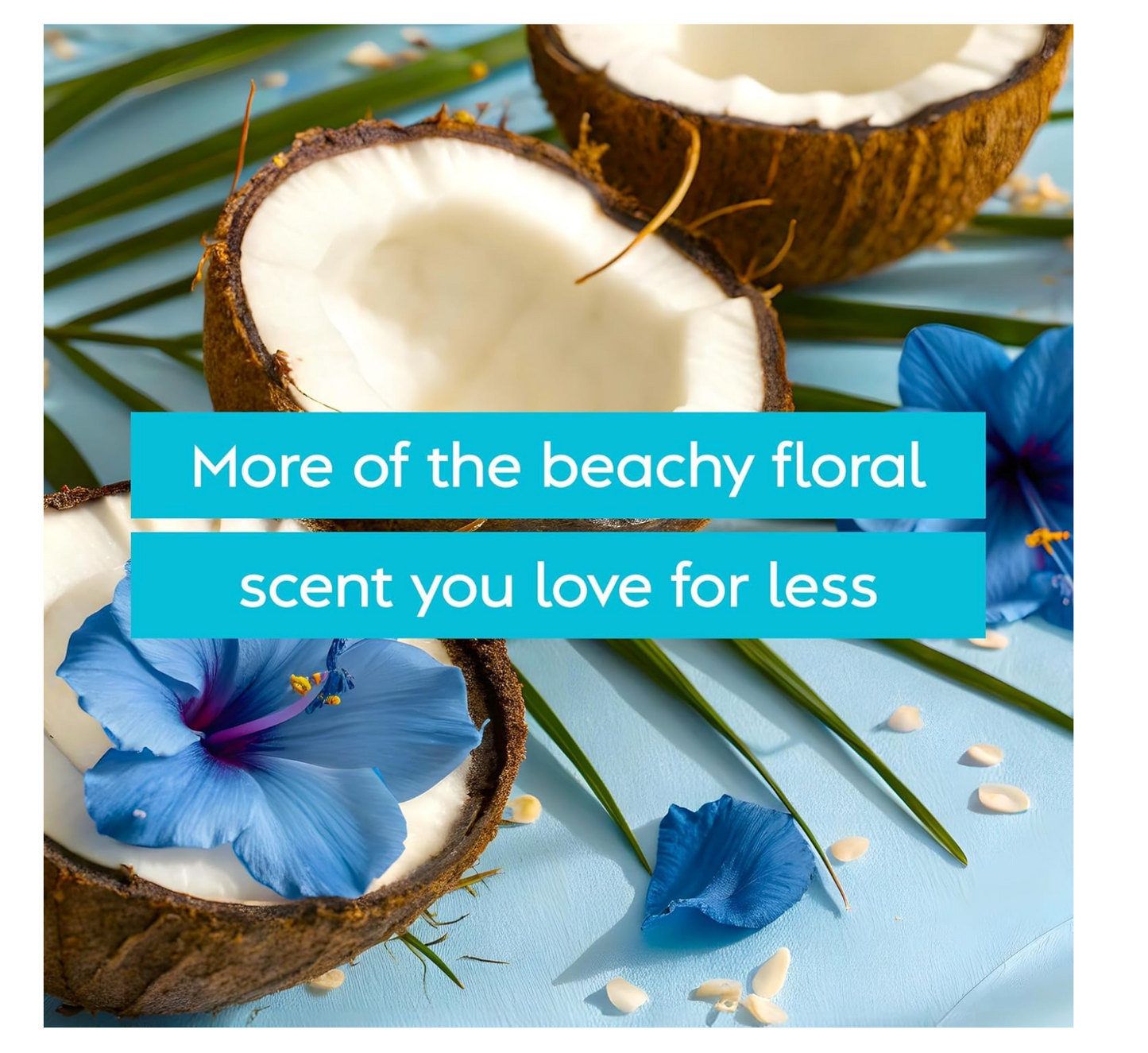 Vagisil: Coconut Hibiscus Feminine Wash (360ml)