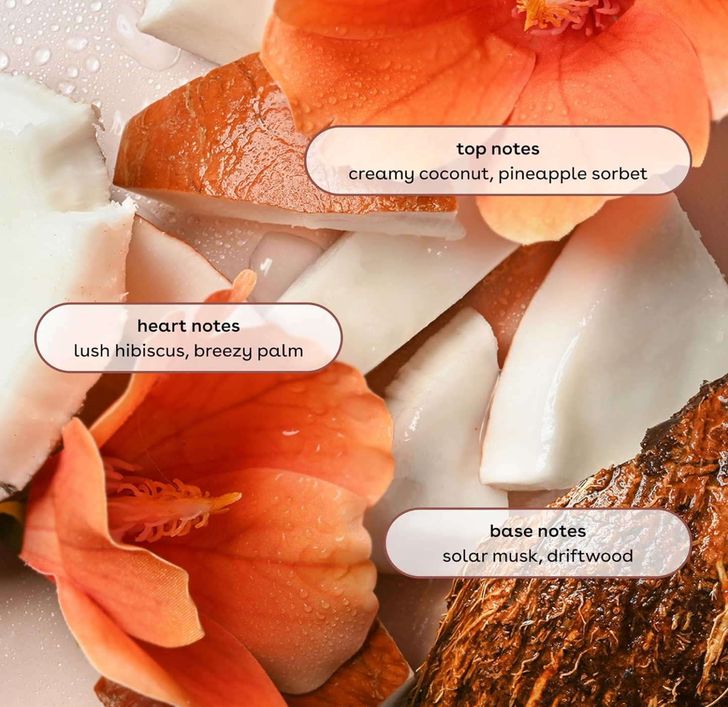 EOS: Cashmere Body Mist, Coconut Waters | 6 fl oz