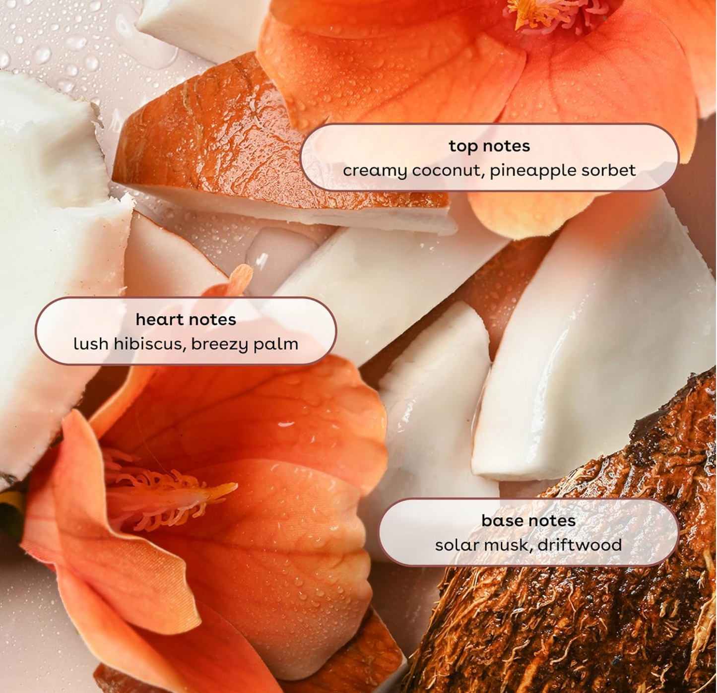 EOS: Shea Better Body Wash, Coconut Waters, 16 fl oz